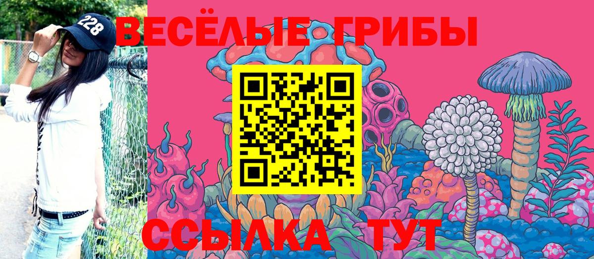 Псилоцибиновые грибы MAGIC MUSHROOMS  Вход с VPN  Чистополь 